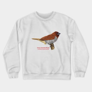 Scaly-breasted Munia | Lonchura punctulata Crewneck Sweatshirt